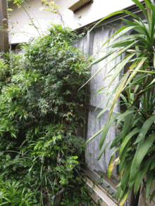 窓サッシを玄関にお取替え! 窓サッシを玄関にお取替え!